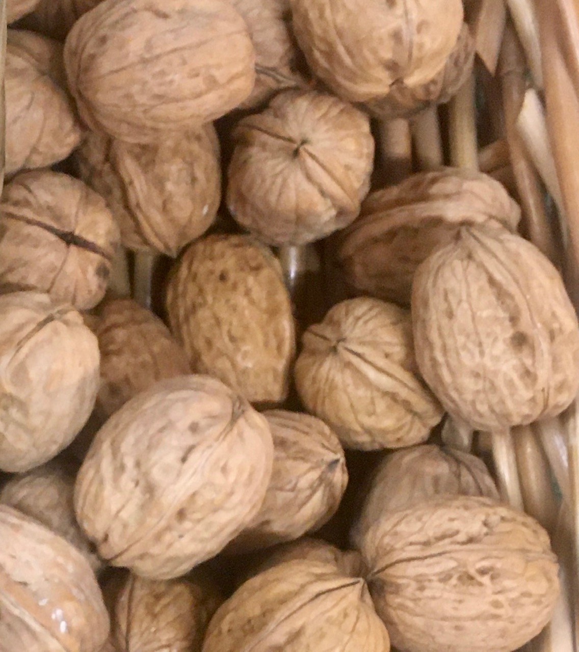 Valrieksti čaulā BIO